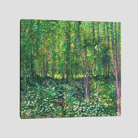 Quadro Van Gogh Trees And Undergrowth Tela No Chassi 80X80Cm