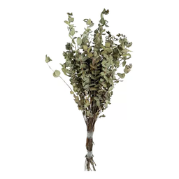 Buquê Eucalipto Selvagem Desidratado Seco Decoração Arranjo - 5