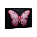 Ver imagem 1 de Quadro Borboleta Rosa -- Br Artes
