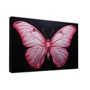 Ver imagem 4 de Quadro Borboleta Rosa -- Br Artes