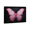 Ver imagem 3 de Quadro Borboleta Rosa -- Br Artes