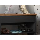 Ver imagem 4 de Sapateira Banco de Madeira com Gaveta Hall de Entrada - Preto com Freijó