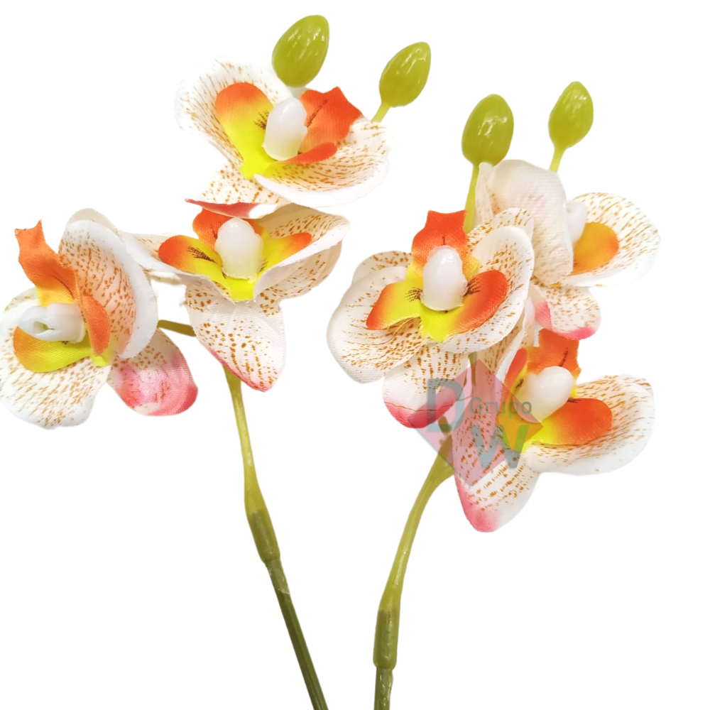 Mini Orquidea:orquídea Branco com Laranja - 2