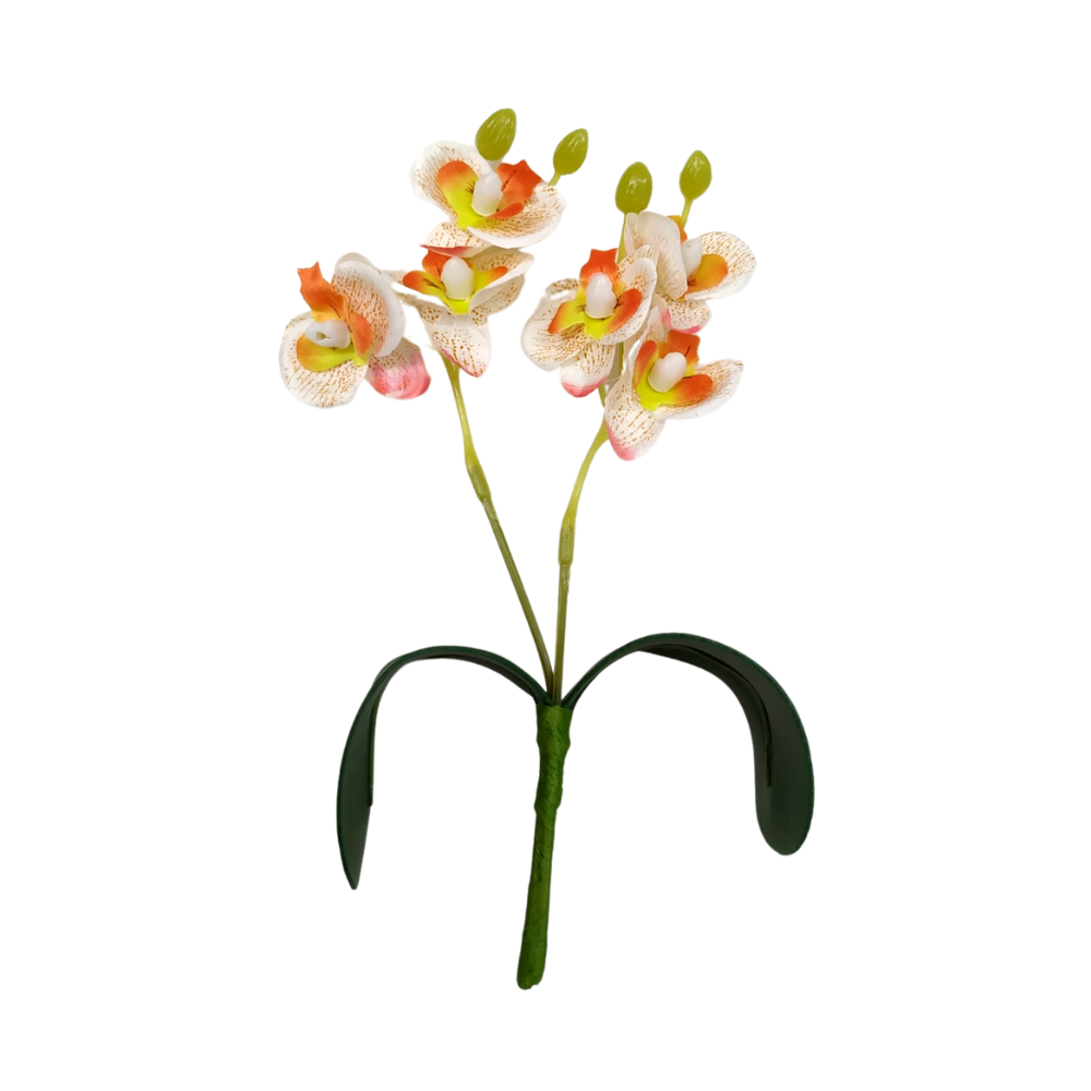 Mini Orquidea:orquídea Branco com Laranja