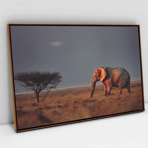 Quadro Decorativo em Canvas Elefante na Savana TaColado Moldura Flutuante 4,5cm Freijó 120 x 80cm
