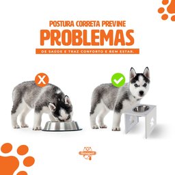 Comedouro Elevado Individual Cão Porte P Preto - 4