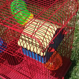 Gaiola Hamster 3 Andares Colorida com Casa Tubos e Rodinha - Vermelha - 9