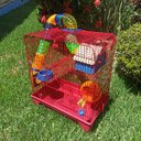 Ver imagem 4 de Gaiola Hamster 3 Andares Colorida com Casa Tubos e Rodinha - Vermelha