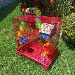 Gaiola Hamster 3 Andares Colorida com Casa Tubos e Rodinha - Vermelha - 4
