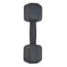 Dumbbell Halter Sextavado Cross Pintado 12kg - 1