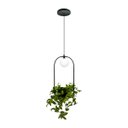 Ver imagem 1 de Pendente Lira Terrario P/ Vaso com Globo Preto/dourado/cobre:preto