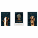 Ver imagem 4 de Quadros Decorativos Golden Aristocrat Cactus Grande:Preto