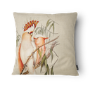 Ver imagem 3 de Kit 3 Capas de Almofada 43x43cm - Animais - Tecido Veludo 100% Poliéster