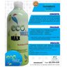 Ecomix Max Concentrado (20Lts) Sequestrante de Odor, Odorizante/Neutralizador - Rende até 2000 Lts - 3