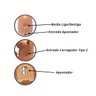 Ventilador Usb Capivara 5 Pás Haste Flexível e Apontador - 4