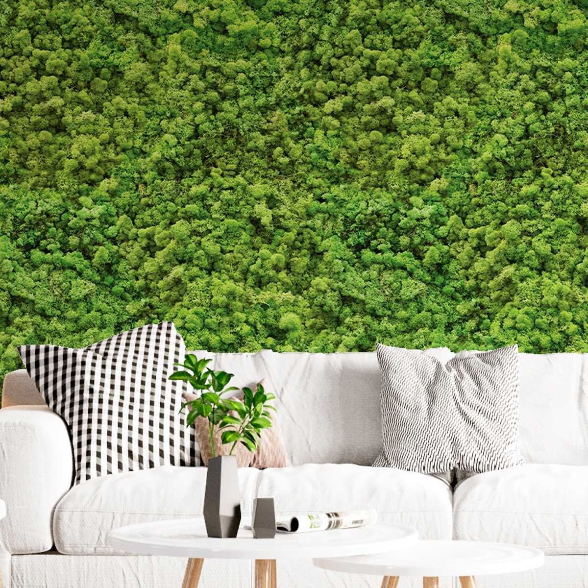 Papel de Parede 12M Musgo de Rena Verde 3d Vinilico Jardim Tropical Paisagem - 4