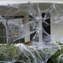 Ver mais imagens de Teia de Aranha Realista Halloween Kit 5 Uni Festa Tematica Enfeite Dia Das Bruxas Decoraçao Medo Ter