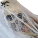 Ver imagem 2 de Teia de Aranha Realista Halloween Kit 5 Uni Festa Tematica Enfeite Dia Das Bruxas Decoraçao Medo Ter