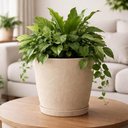 Ver imagem 2 de Kit 4 Vasos para Flores com Prato Asteca Tramontina Plástico 24cm Granito Areia Folhagens Plantas