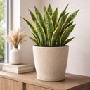 Ver imagem 5 de Kit 4 Vasos para Flores com Prato Asteca Tramontina Plástico 24cm Granito Areia Folhagens Plantas