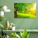 Ver imagem 3 de Quadro Natureza Bela -- Br Artes