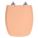 Ver imagem 1 de Assento Sanitário Laqueado Soft Close Stylus Pessego 73 para Vaso Celite