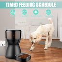 Ver imagem 4 de Alimentador Automático 4l para Gatos: Aplicativo e Wifi 2,4g