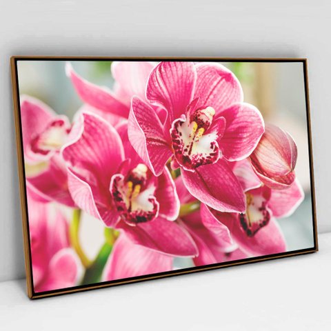 Quadro Decorativo em Canvas Orquídea Rosa TaColado Moldura Flutuante 4,5cm Freijó 120 x 80cm