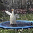 Ver imagem 5 de Tapete Chafariz Refrescante Pet Animal Infantil Verao Piscina Jardim Casa Quintal Calor Sol Diversao