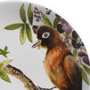 Ver imagem 2 de Conjunto 06 Pratos Raso Amazonia Scalla