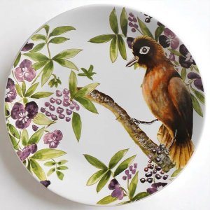 Conjunto 06 Pratos Raso Amazonia Scalla