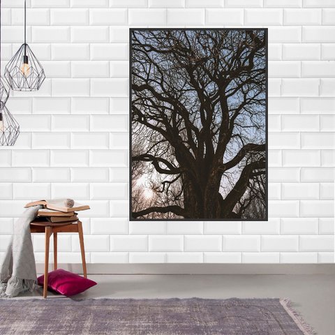 Quadro Canvas Árvore sem Folhas 70x50
