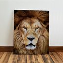 Ver imagem 5 de Kit 3 Quadro Decorativo Leão de Judá Cristã Gospel Sala 40x28cm