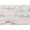 Ver imagem 6 de Colchão Solteiro Ortobom Espuma D20 Physical Resistente (78x188x14) -