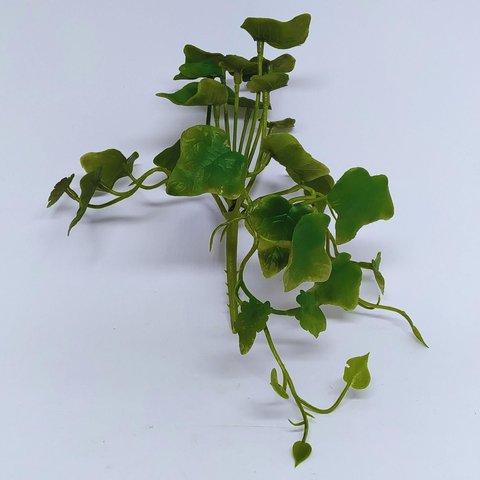 Muda de Hera - Verde