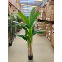 Ver mais imagens de Planta Artificial Bananeira Grande Planta Decoração com 1.90m