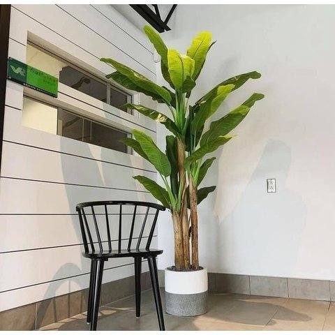 Planta Artificial Bananeira Grande Planta Decoração com 1.90m