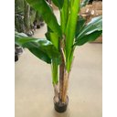 Ver imagem 6 de Planta Artificial Bananeira Grande Planta Decoração com 1.90m