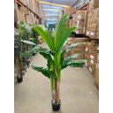 Ver imagem 3 de Planta Artificial Bananeira Grande Planta Decoração com 1.90m