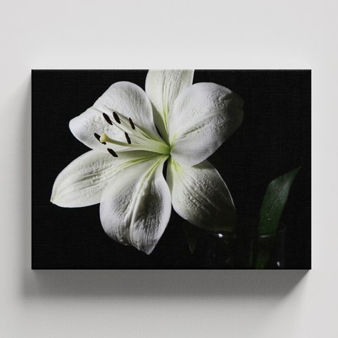 Quadro Decorativo para Sala Quarto Flor Lírio Modernos em Tecido Canvas