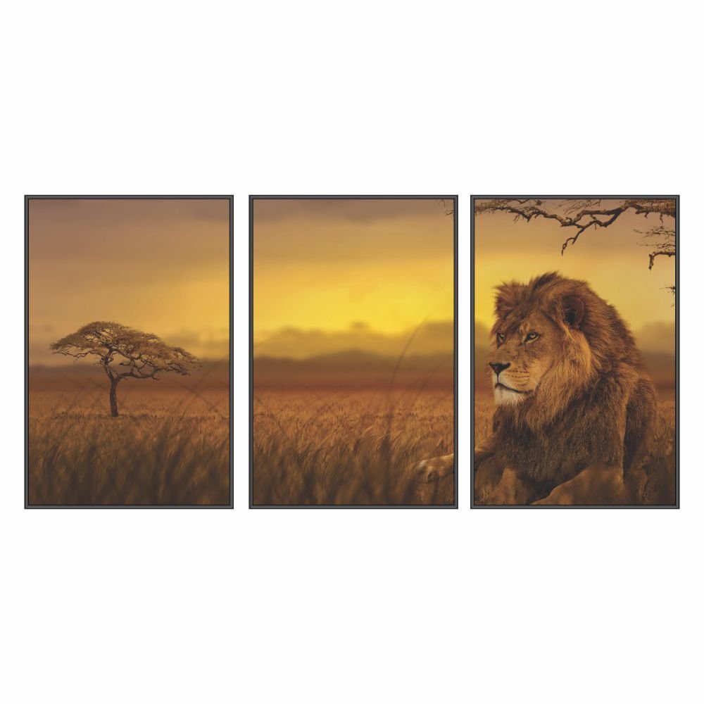 Kit 3 Telas Canvas com Moldura Estampa Natureza Safari Madeira - Médio - 5