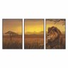 Kit 3 Telas Canvas com Moldura Estampa Natureza Safari Madeira - Médio - 5