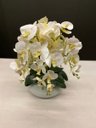Ver imagem 1 de Arranjo Grande Centro Mesa 6 Orquídeas Branca 3d Vaso Branco