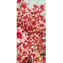 Ver imagem 3 de Planta Artificial Árvore LÍRIO ROSA VINTAGE com 1,30 metros de altura