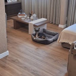 Piso Vinílico Tarkett Injoy 2mm - Papoula Cx 5,13m² - Papoula Único - 4