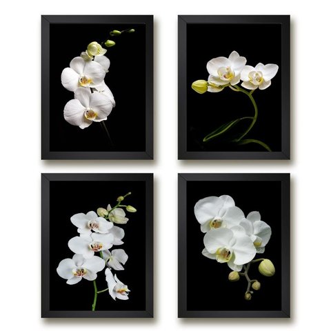 Kit 4 Quadros Florais Fotografias Orquídeas 24x18cm - com Vidro:madeira Preta