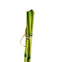 Ver imagem 2 de Haste Bambu Planta Artificial Decorativo C-4 Flor Arte