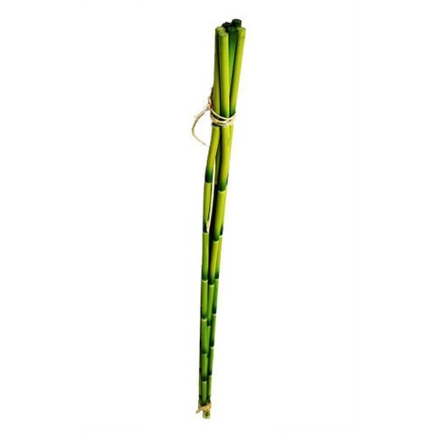 Haste Bambu Planta Artificial Decorativo C-4 Flor Arte