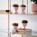 Ver imagem 2 de Vaso Decorativo Bob Robert Plant em Poliresina Rosa 14,5x11x12 cm - D’Rossi