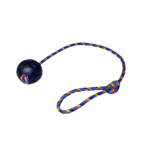 Brinquedo para Cães Bola Agility Lisa Guia Cristal 65mm